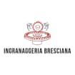 Logo Ingranaggeria Bresciana Di Vezzoli A. & C. S.n.c.
