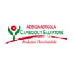 Logo Capisciolti Salvatore