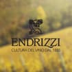 Logo Endrizzi Srl