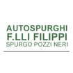 Logo Filippi F.lli S.n.c. Spurghi Pozzi Neri
