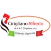 Logo Azienda Agricola Cirigliano Alfredo - Di Cirigliano Antonio E C. - S.n.c.