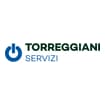 Logo Torreggiani Servizi Srl