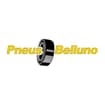 Logo Autoricambi Belluno Srl