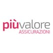 Logo Piu' Valore Srl