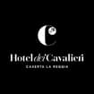 Logo 12 Cavalieri Srl