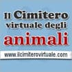 Logo Starweb Multimedia Di Graziani Fabio