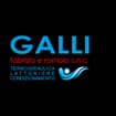 Logo Galli Fabrizio E Romolo S.n.c