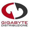 Logo Gigabyte Distribuzione Spa