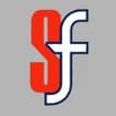 Logo Geom. Severini Felice Srl