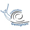 Logo Centinature Gemignani Srl