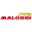 Logo Malossi Spa