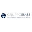 Logo Gruppo S.i.a.s.s. Srl