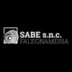 Logo Sabe Di Manfredini E Barilli Enrico S.n.c.