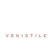 Logo Vice Srl