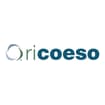Logo Ricoeso Srl